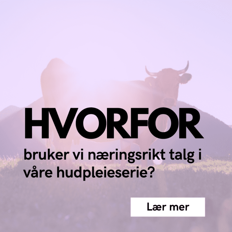 Foto forside Ærlig by Walle talgkrem