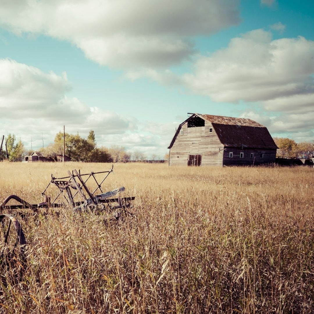 Gammel låve på åker