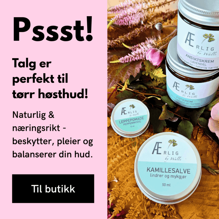Foto forside ærlig by walle høstblader kremer