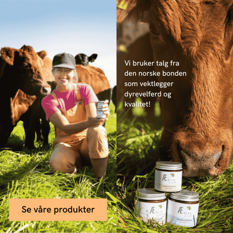 Foto forside ku dame krem Ærlig by Walle