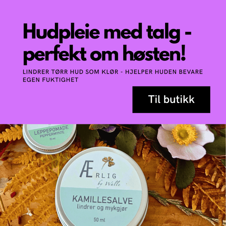 Foto forside ærlig by walle høstblader kamillesalve
