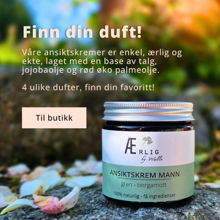 Ansiktskrem mann fra ærlig by walle står ute i høst stemning