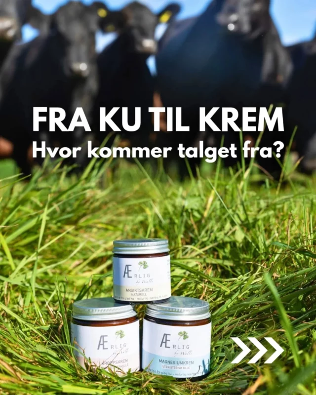 Nå er det heldigvis flere og flere som har hørt om talgkrem😍 Men hva er talg egentlig og hvor kommer det fra? 

#ærligbywalle #talg #talgtilhuden #talgkrem #tallow #tallowskincare #tallowbalm #tradisjonellhudpleie #gammelkunnskap #føritiden #bærekraftig #bærekraftighudpleie #bærekraftiglivsstil #naturligerbest #næringtilhuden #naturlighudpleie #naturlignæring #norskhudpleie #norwegianmade #videreføretradisjoner