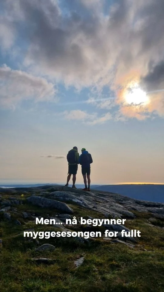 Myggsesongen er her!☀️ Klar for lange, lyse kvelder med uteliv? Skaff deg naturlig myggsalve så er du forberedt. Med 100% snille ingredienser og herlig sitruslukt!😍

#ærligbywalle #myggsalve #myggmiddel #mygg #sommerkveld #lysekvelder #naturligerbest #liveterbestute #myggfritt #tallowbalm #talgkrem #tallowskincare #norwegianmade