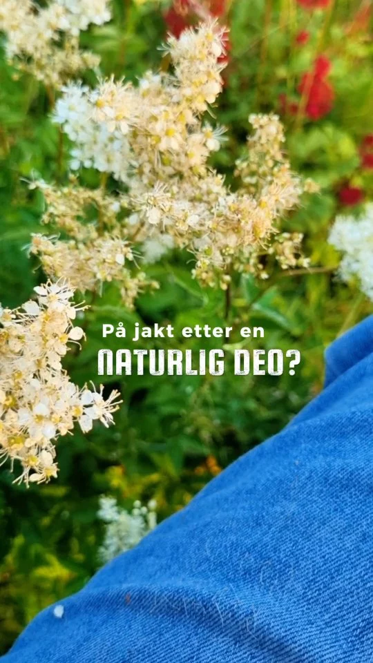 UTEN aluminium🤩 Med pilerot og bentonittleire lager vi naturlig, trygg og effektiv deo. 

#ærligbywalle #naturligdeo #utenaluminium #tryggdeo #talgtilhuden #norwegianmade
